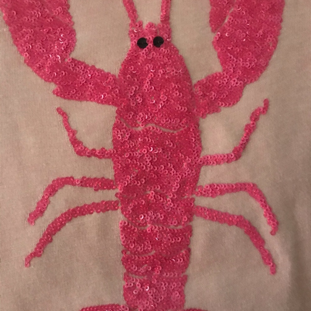 Girls, size 14, J Crew, Crewcuts t-shirt.